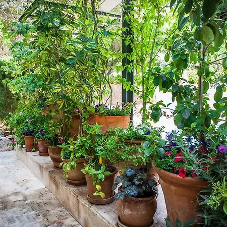 Apartment Cala Murada Minigolf Cala Murada (Mallorca)